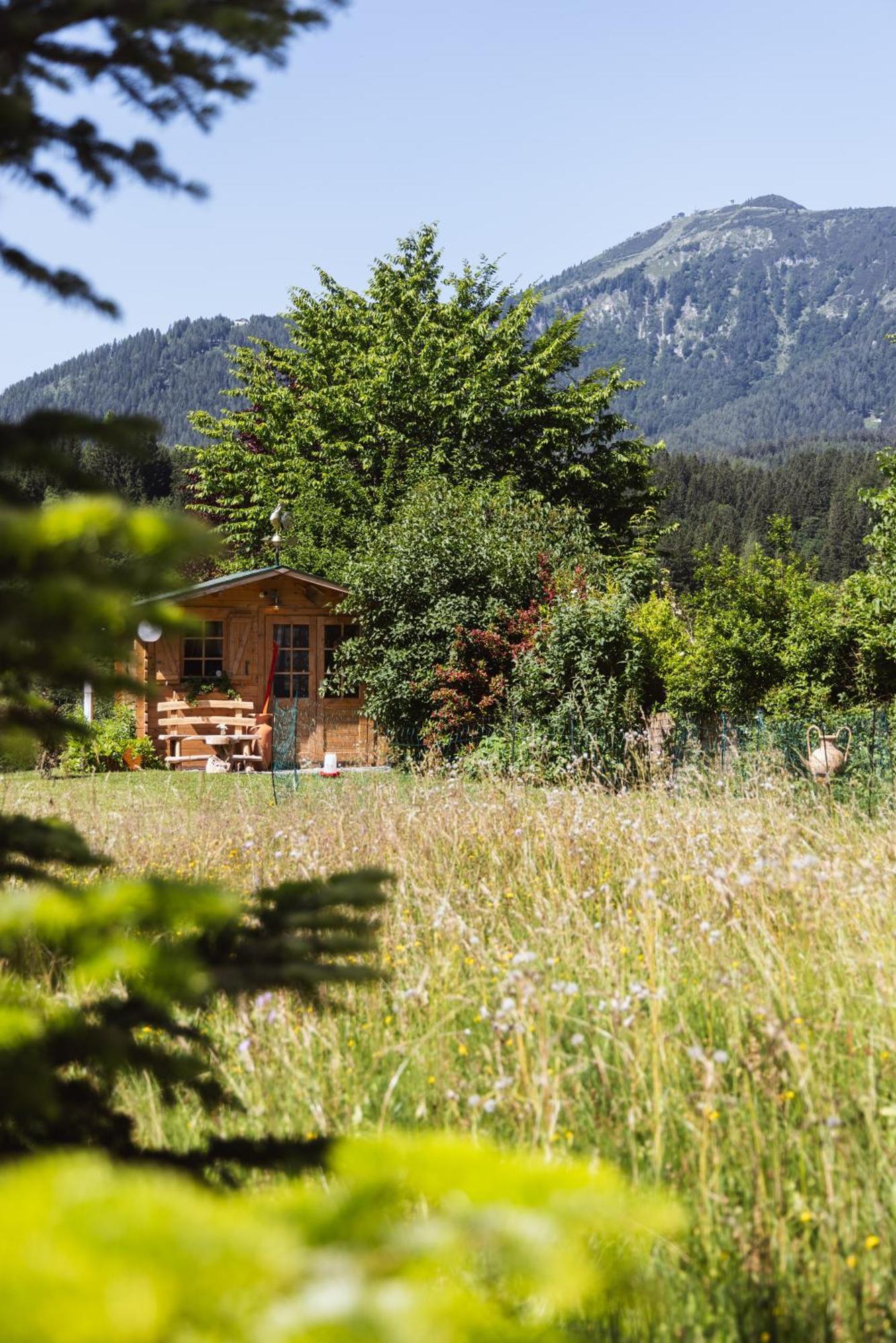Pension Klug Adults Only - Dorfresort Mitterbach Exterior foto